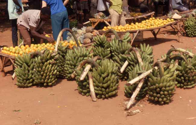 fruit market